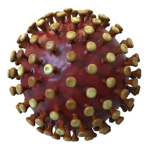 Coronavirus 3D model
