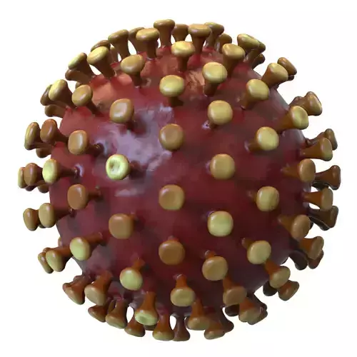 Coronavirus