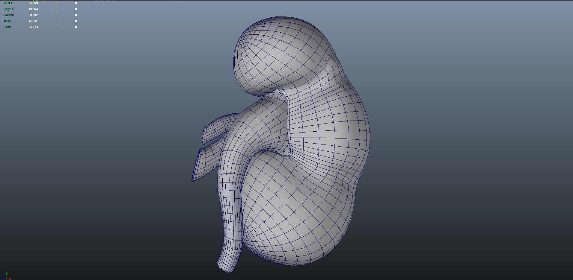 kidney intersection anatomy  Low-poly 3D model_8