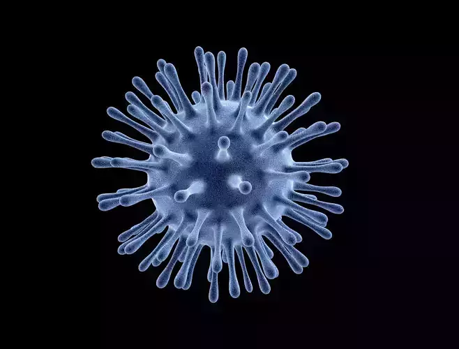 Virus Particle