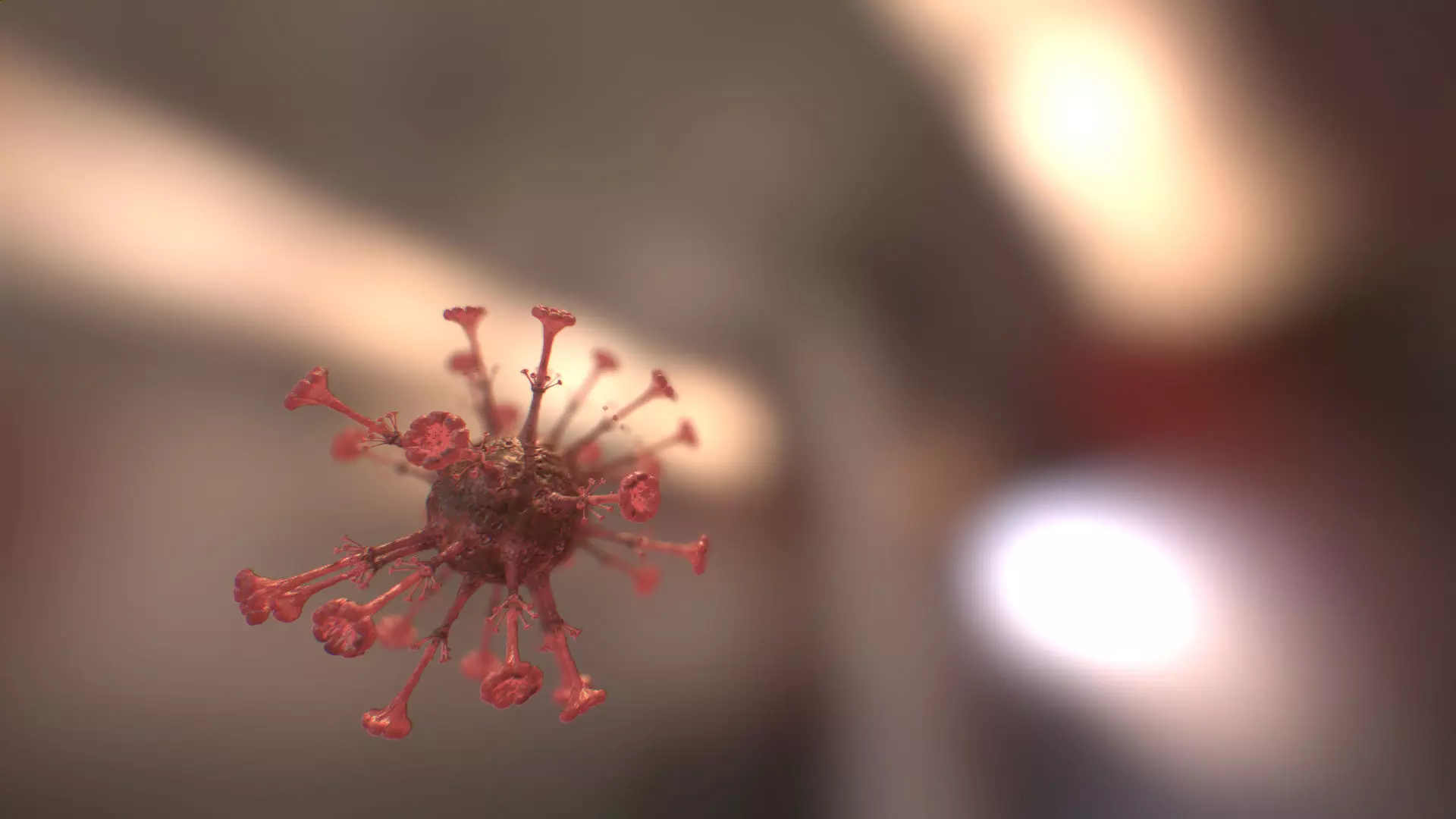 VIRUS COVID - 19 Low-poly 3D model