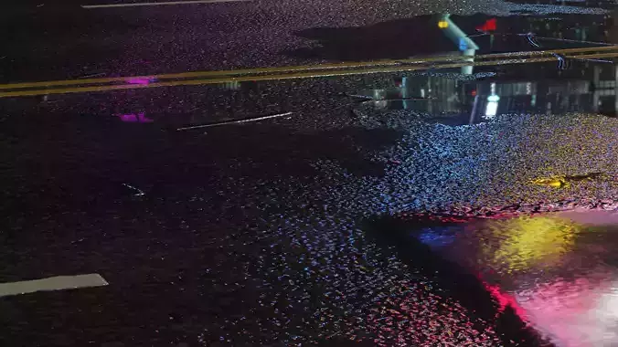 Rainy Road 3D model