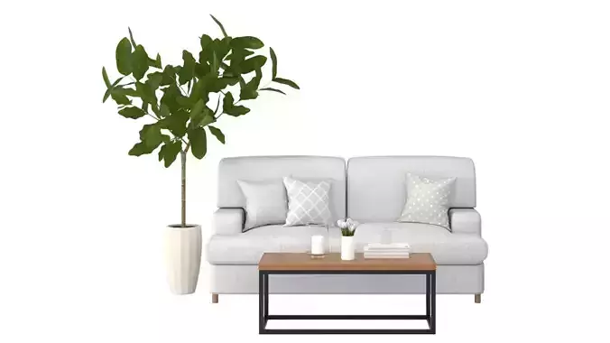 Living C - Fig Tree and Tulips Low-poly 3D model
