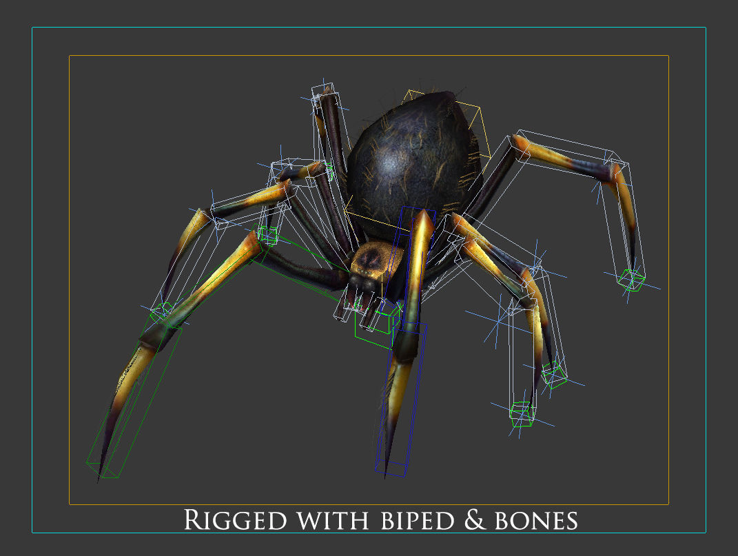 animated spider Low-poly 3D model_8