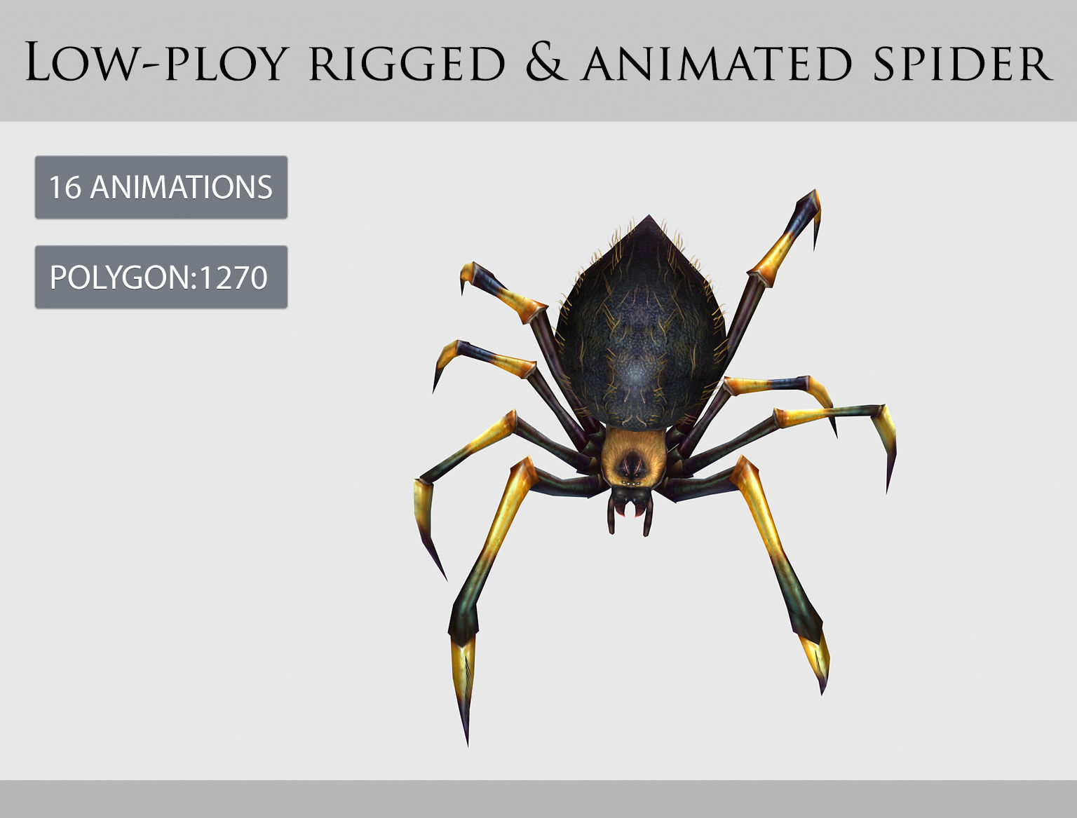 animated spider Low-poly 3D model_5
