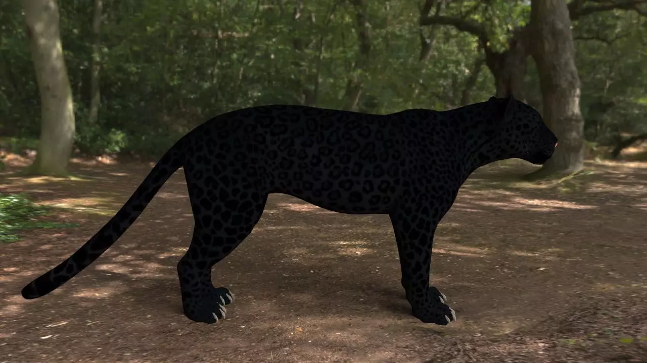 black panther Low-poly 3D model