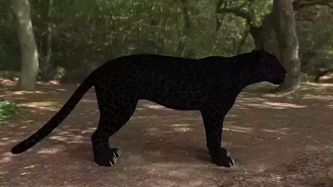 black panther