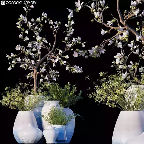 Magnolia - Microsorum pteropus 3D model