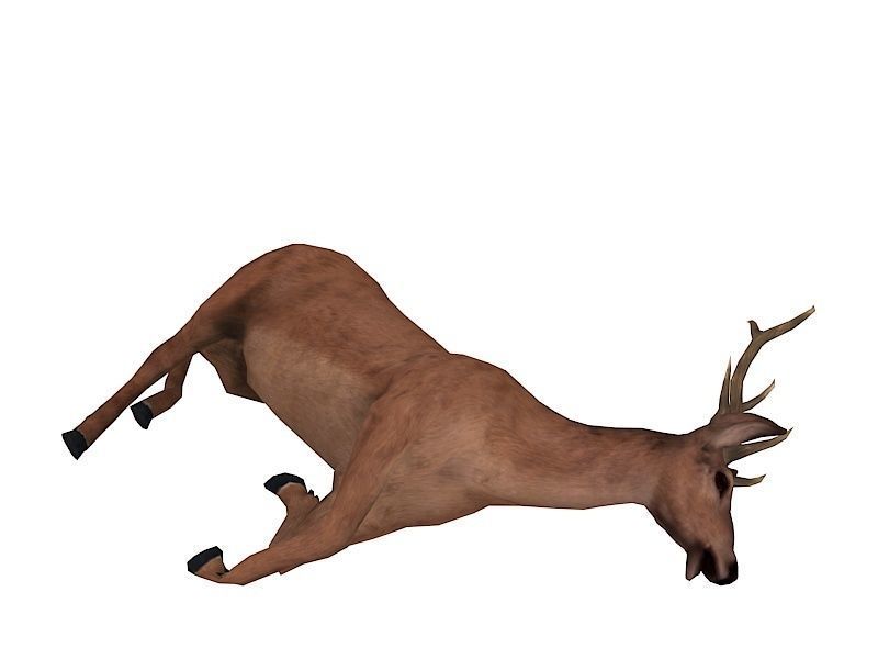 animated deer stag elk Low-poly 3D model_13