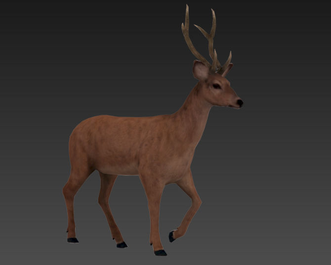 animated deer stag elk Low-poly 3D model_14