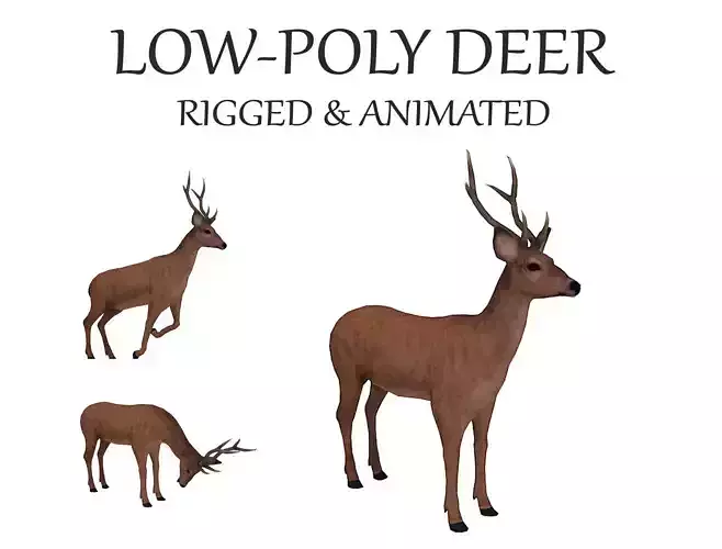 animated deer stag elk