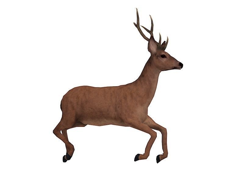 animated deer stag elk Low-poly 3D model_7