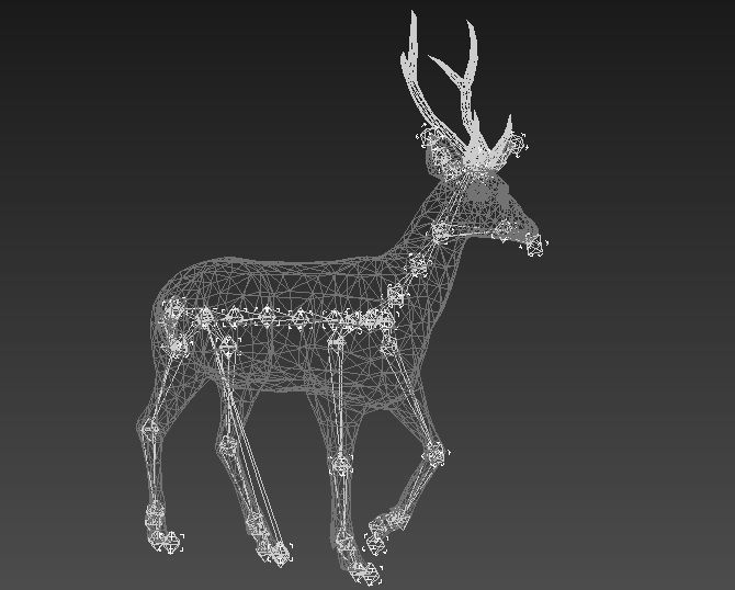 animated deer stag elk Low-poly 3D model_16