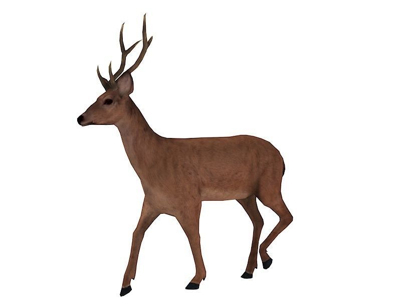 animated deer stag elk Low-poly 3D model_10