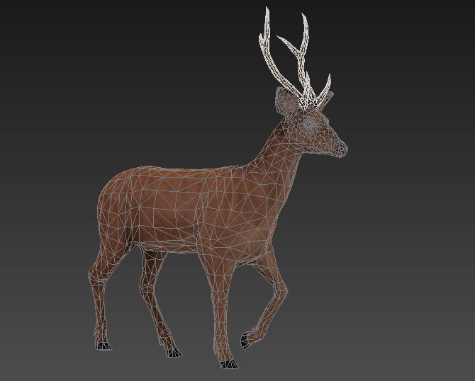 animated deer stag elk Low-poly 3D model_15