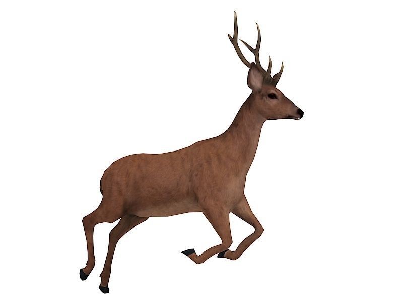 animated deer stag elk Low-poly 3D model_6