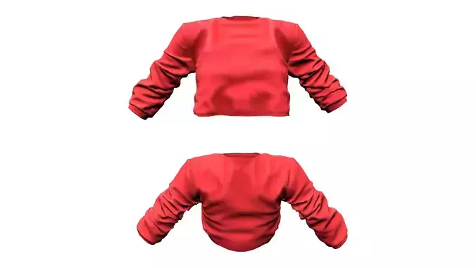 Basketball Style Hip Hop Long Sleeve Crop Top