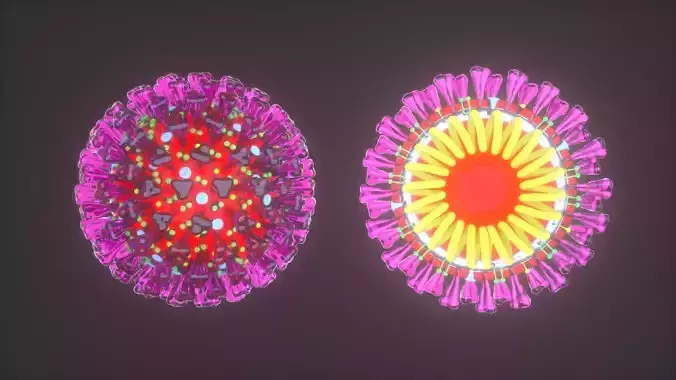 COVID - 19 Coronavirus