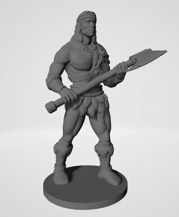 THE BARBARIAN man holding sword Free 3D print model_0