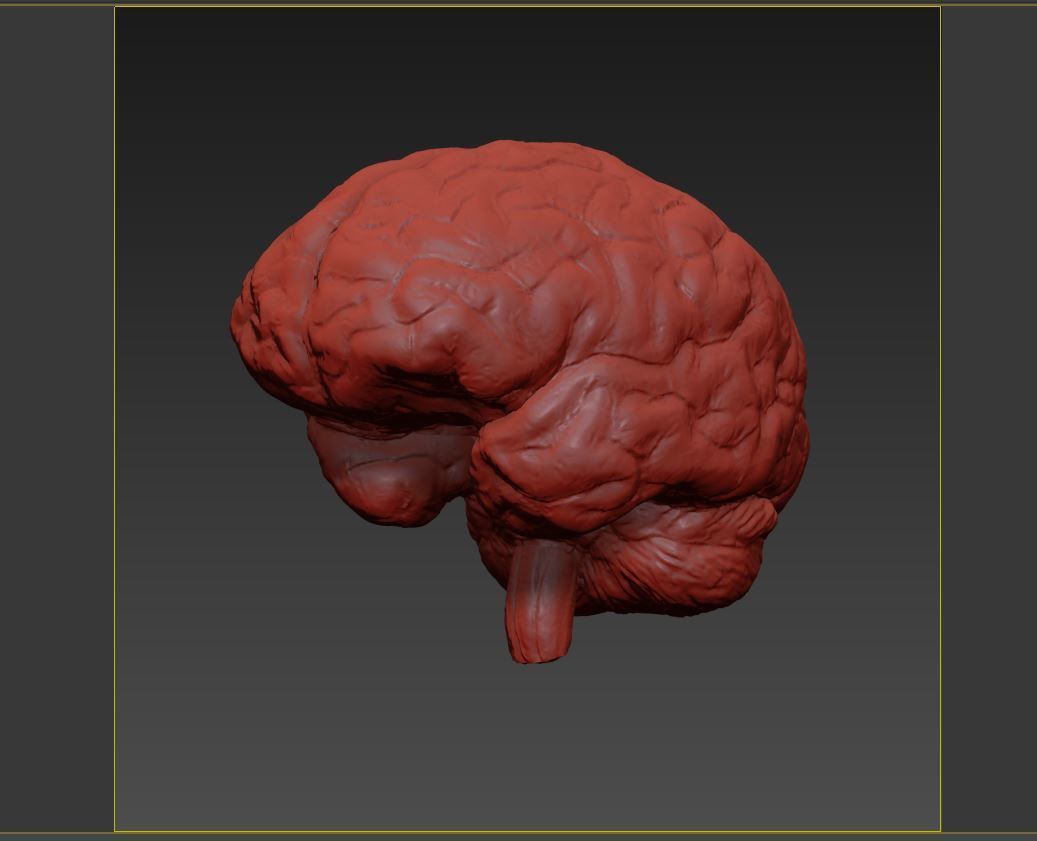 Scientific illustration about neural connections 3D model_3