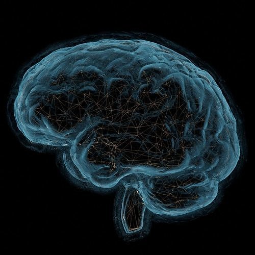 Scientific illustration about neural connections 3D model