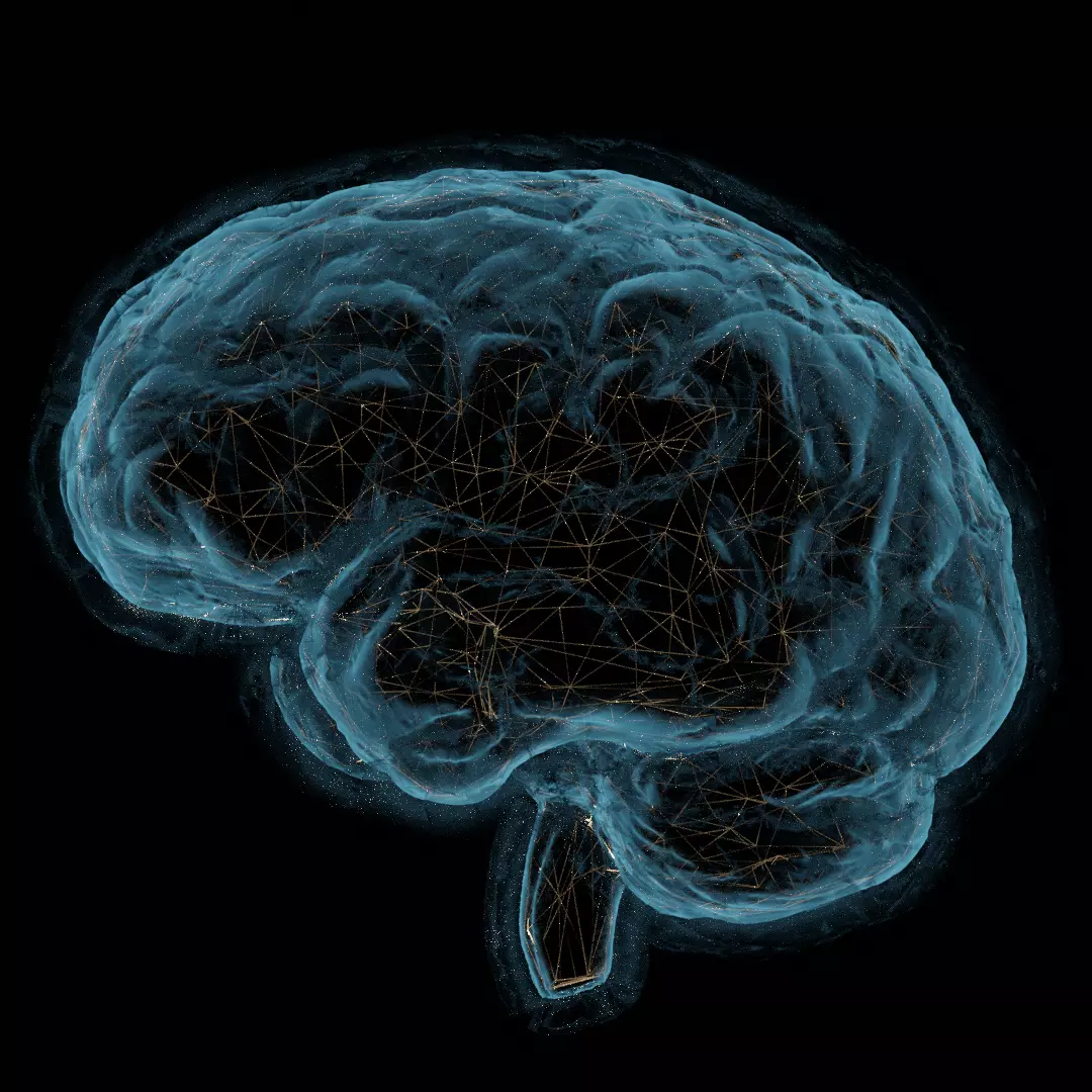 Scientific illustration about neural connections 3D model_0