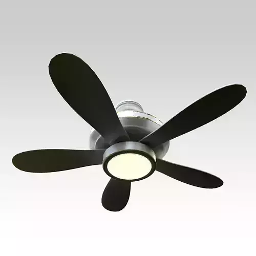 Ceiling Fan