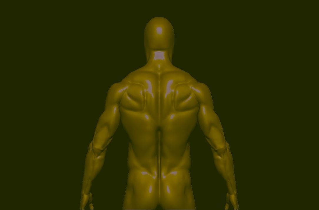 base mesh  high poly anatomy sculpting    Low-poly 3D model_14