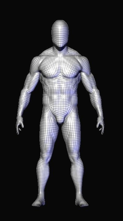 base mesh  high poly anatomy sculpting    Low-poly 3D model_7