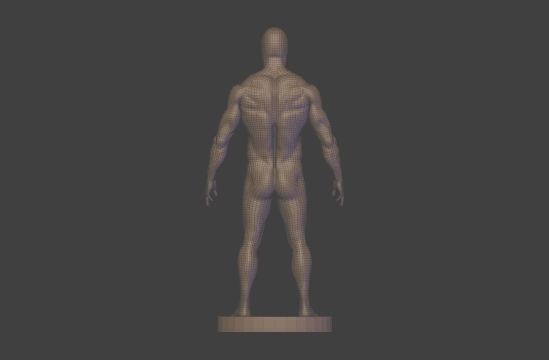 base mesh  high poly anatomy sculpting    Low-poly 3D model_17