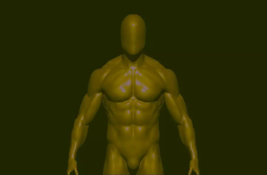 base mesh  high poly anatomy sculpting    Low-poly 3D model_0