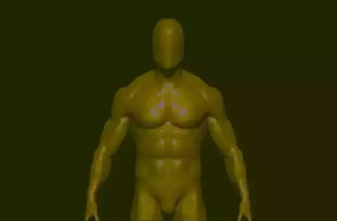 base mesh  high poly anatomy sculpting    Low-poly 3D model