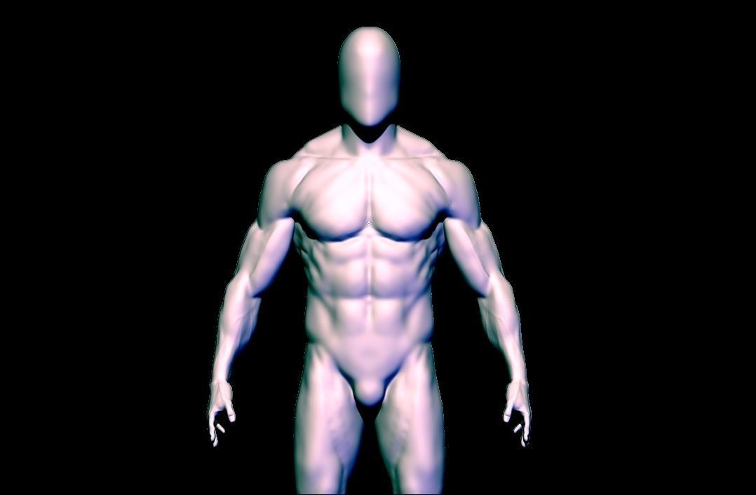 base mesh  high poly anatomy sculpting    Low-poly 3D model_2