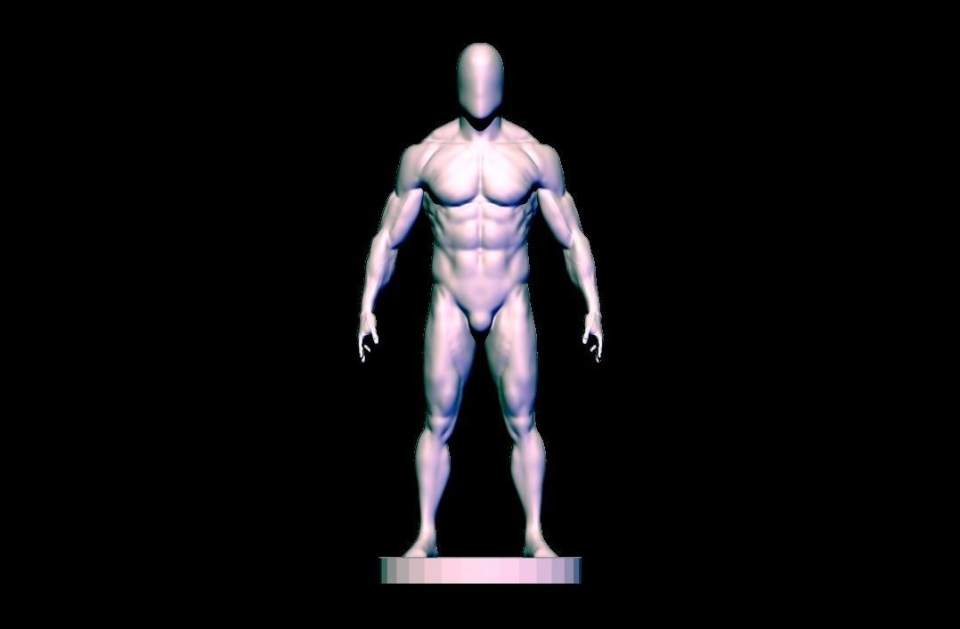 base mesh  high poly anatomy sculpting    Low-poly 3D model_3