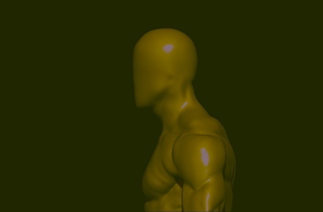 base mesh  high poly anatomy sculpting    Low-poly 3D model_11