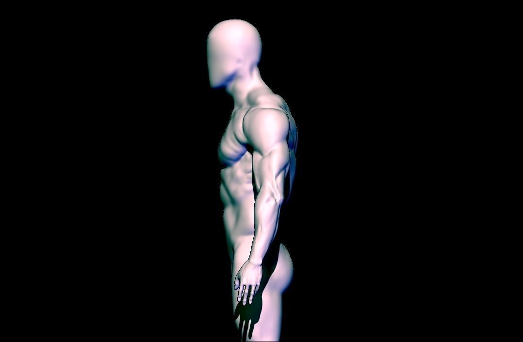 base mesh  high poly anatomy sculpting    Low-poly 3D model_6