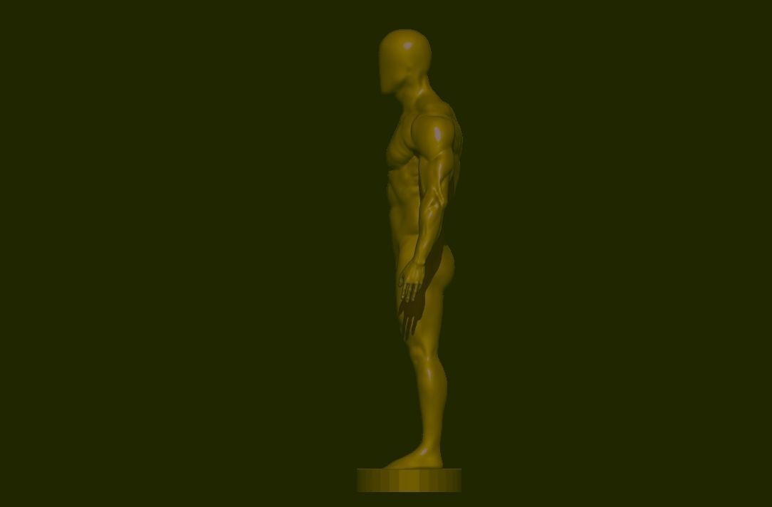 base mesh  high poly anatomy sculpting    Low-poly 3D model_15