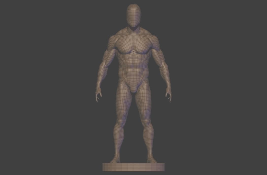 base mesh  high poly anatomy sculpting    Low-poly 3D model_18