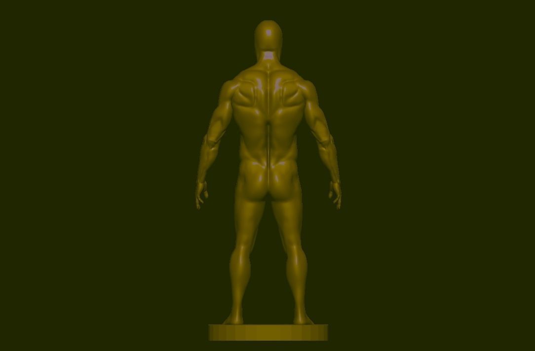 base mesh  high poly anatomy sculpting    Low-poly 3D model_16