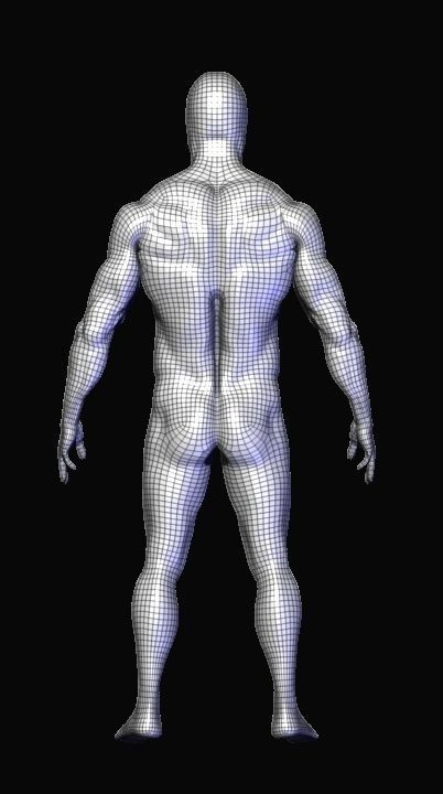 base mesh  high poly anatomy sculpting    Low-poly 3D model_8