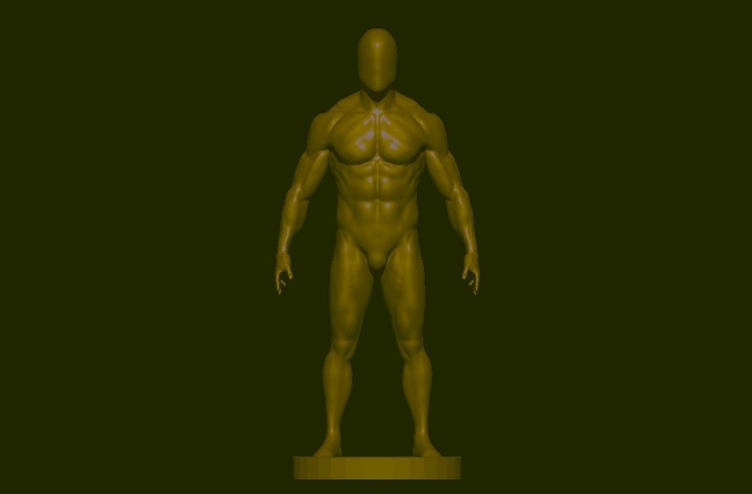 base mesh  high poly anatomy sculpting    Low-poly 3D model_10