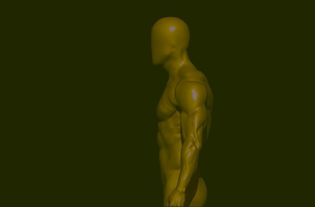 base mesh  high poly anatomy sculpting    Low-poly 3D model_9