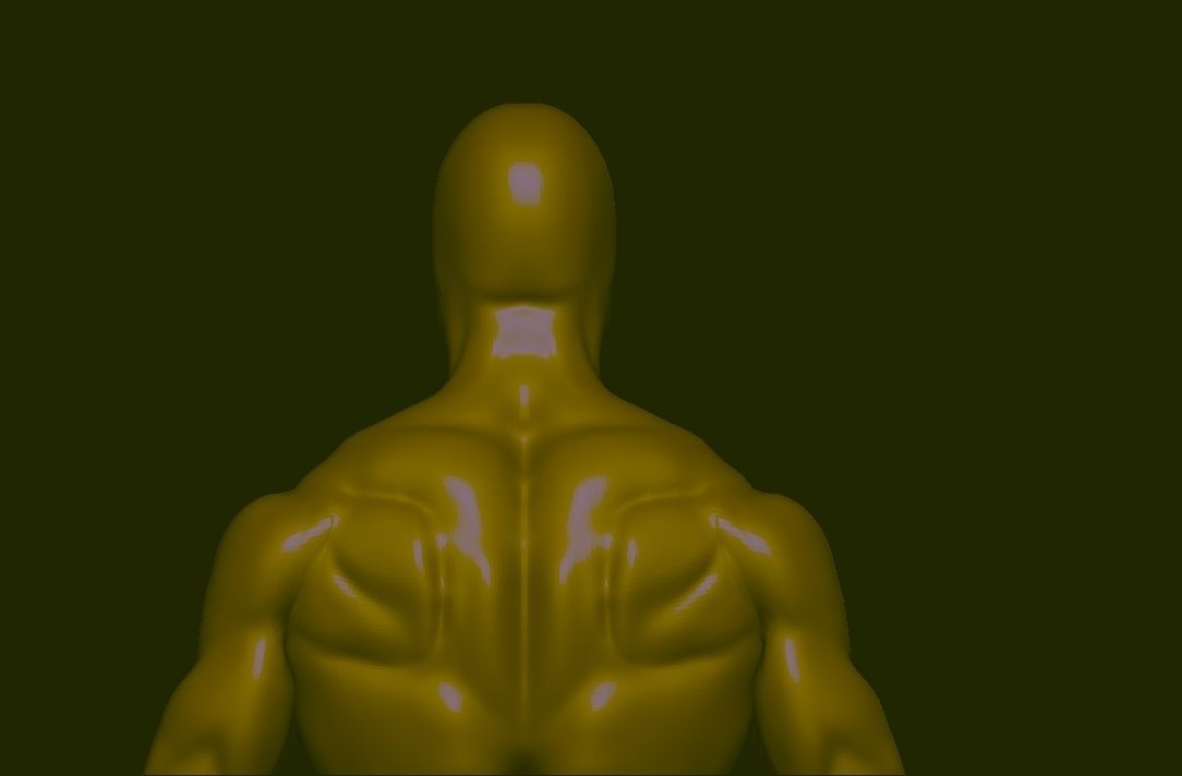 base mesh  high poly anatomy sculpting    Low-poly 3D model_12