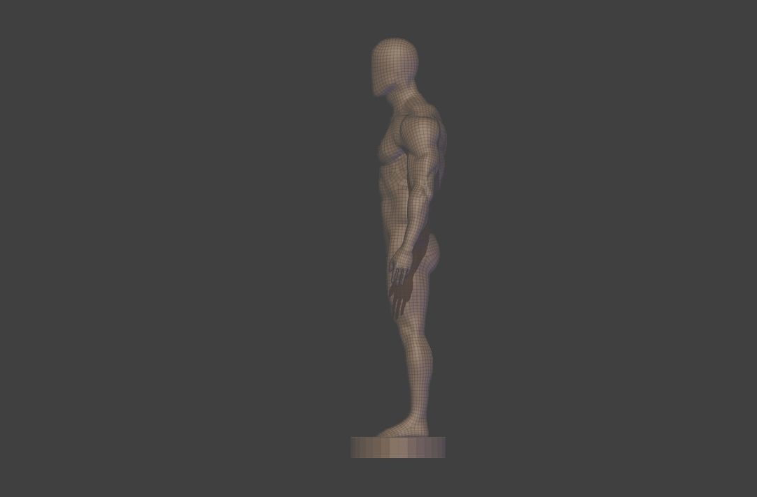 base mesh  high poly anatomy sculpting    Low-poly 3D model_19