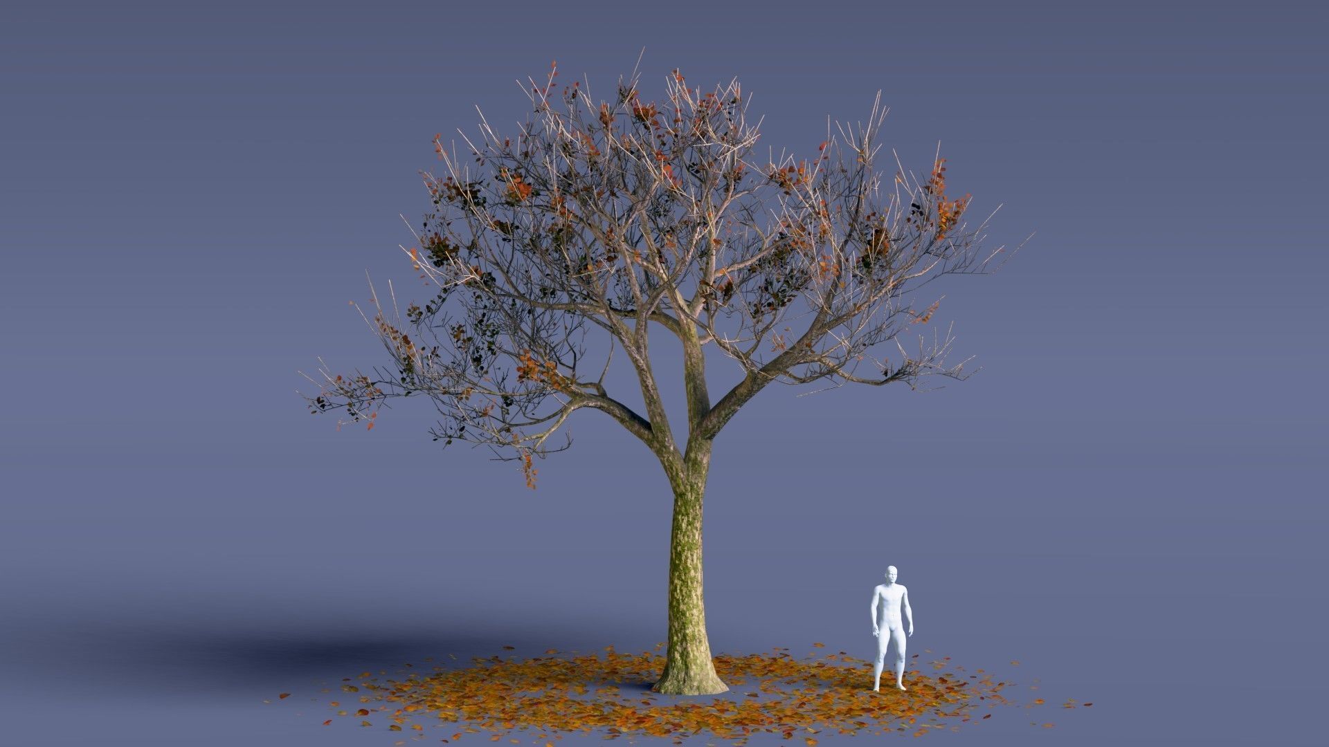Treevee - Animated Trees Pack for Blender - EEVEE and Cycles 3D model_12