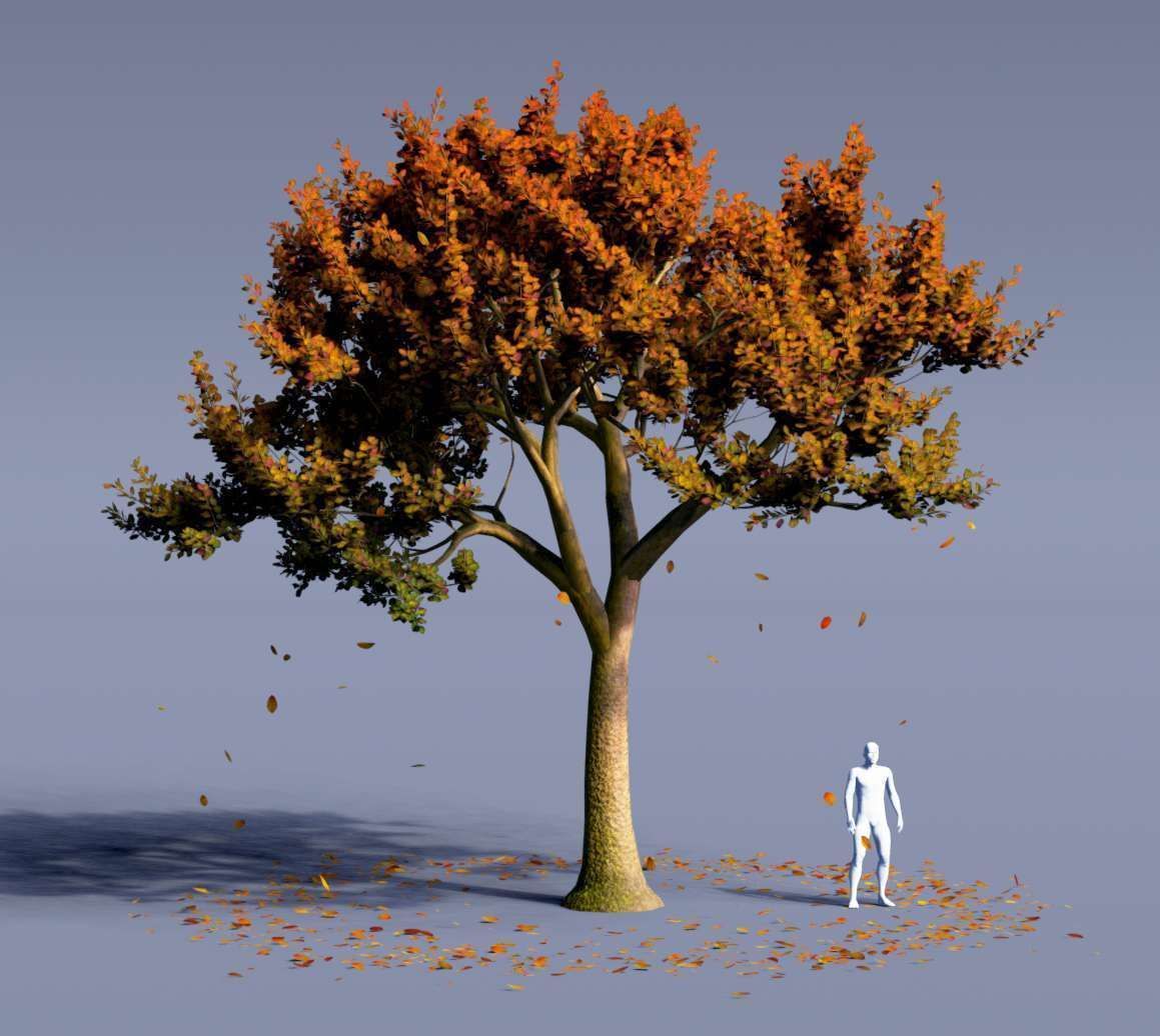 Treevee - Animated Trees Pack for Blender - EEVEE and Cycles 3D model_15