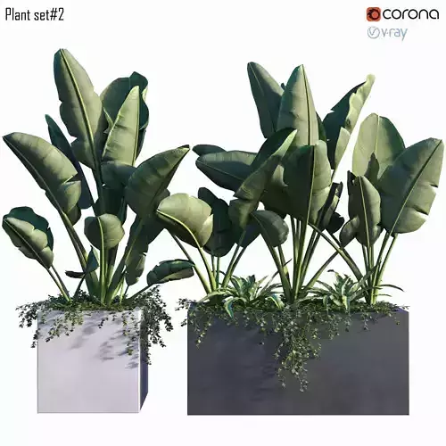 Plant set 02