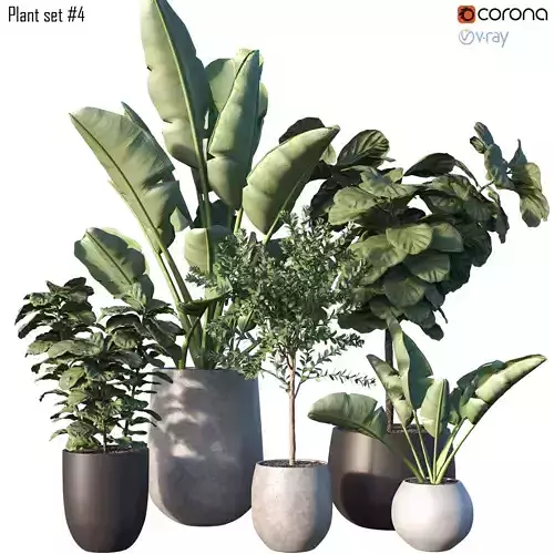 Plant set 04