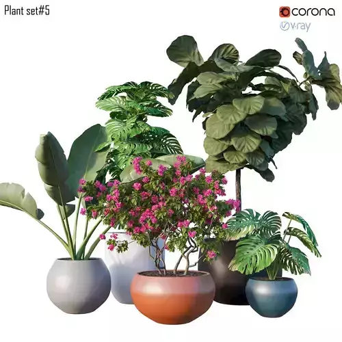 Plant set 05