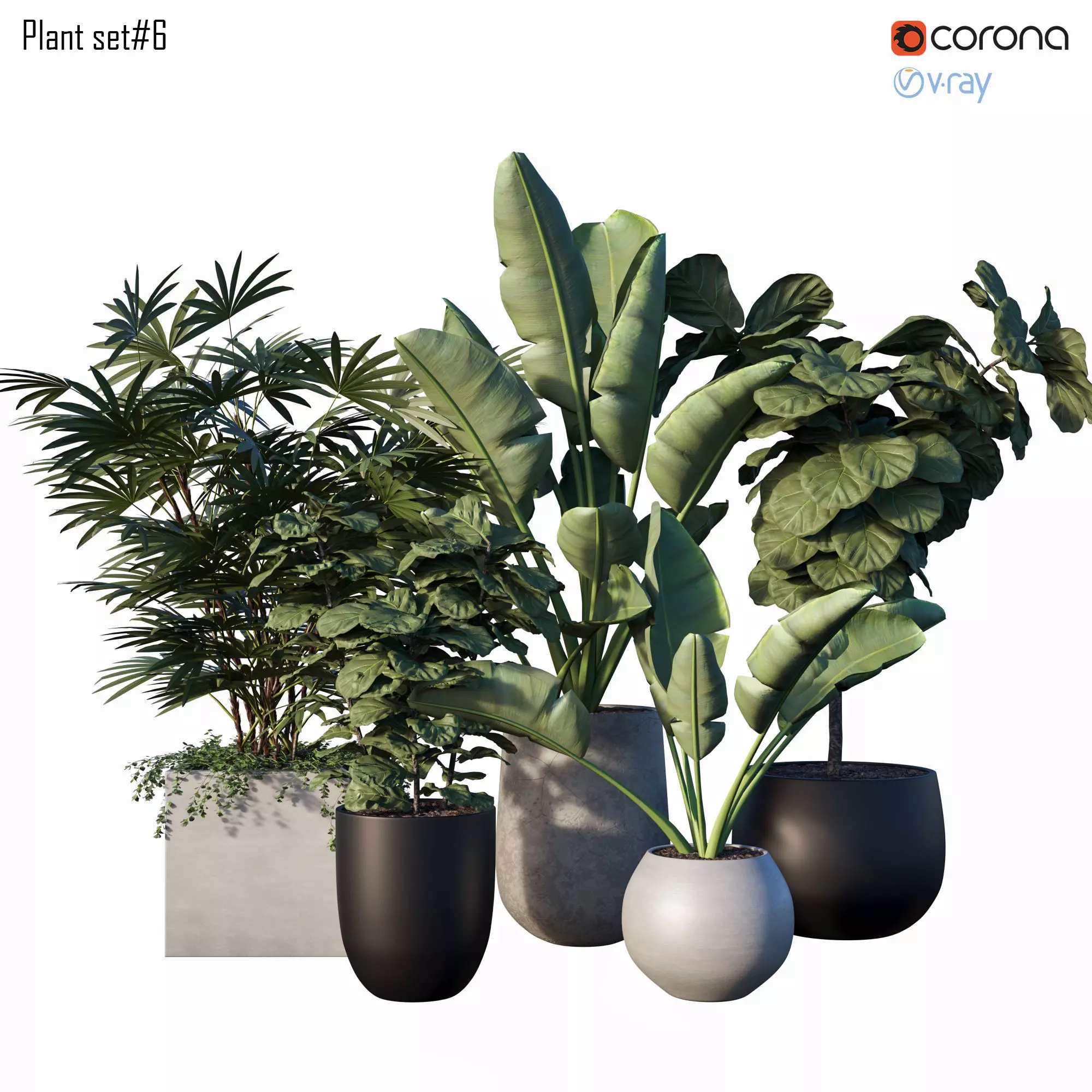 Plant set 06 3D model